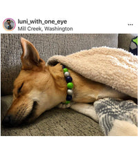 Load image into Gallery viewer, Seattle Seahawks NFL Inspired 🏈 Bead Collar