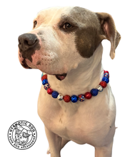 Load image into Gallery viewer, Sparkler 🎇 Bead Collar