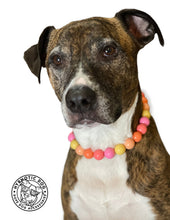 Load image into Gallery viewer, 🟧 19" Slip On (Black O-Ring) Sweet Tart Bead Collar - PRE-MADE/FINAL SALE