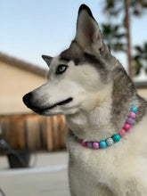 Load image into Gallery viewer, 🟧 19.5&quot; Slip On (Rainbow Martingale Chain) Unicorn Glam Bead Collar - PRE-MADE/FINAL SALE