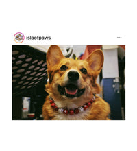 Load image into Gallery viewer, 🟧 21" Slip On (Black O-Ring) Valentine's Signature Bead Collar - PRE-MADE/FINAL SALE