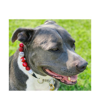 Load image into Gallery viewer, 🟧 21" Slip On (Black O-Ring) Valentine's Signature Bead Collar - PRE-MADE/FINAL SALE