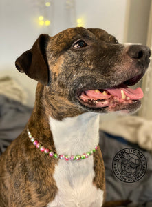 Watermelon XS Mermaid Pearl Bead Collar