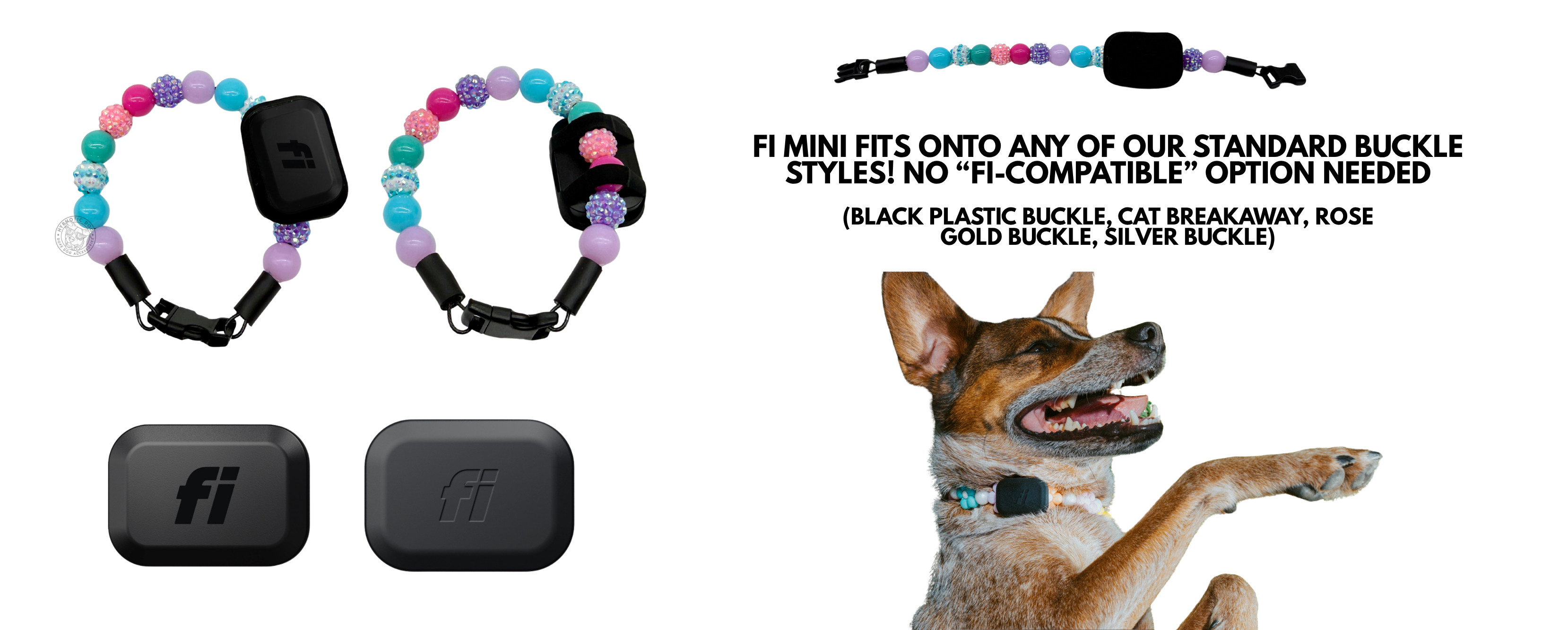 Fi Mini tracker shown with Hypnotic Dog small dog and cat buckle collar styles